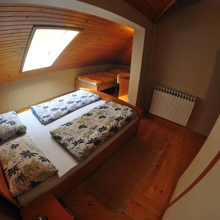 City Center Hostel *